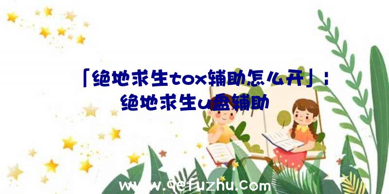 「绝地求生tox辅助怎么开」|绝地求生u盘辅助